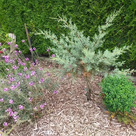 L Oree De La Foret Incheville