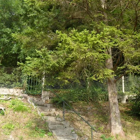 L Oree De La Foret *