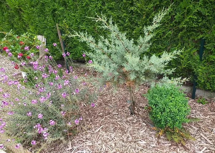 L Oree De La Foret Incheville